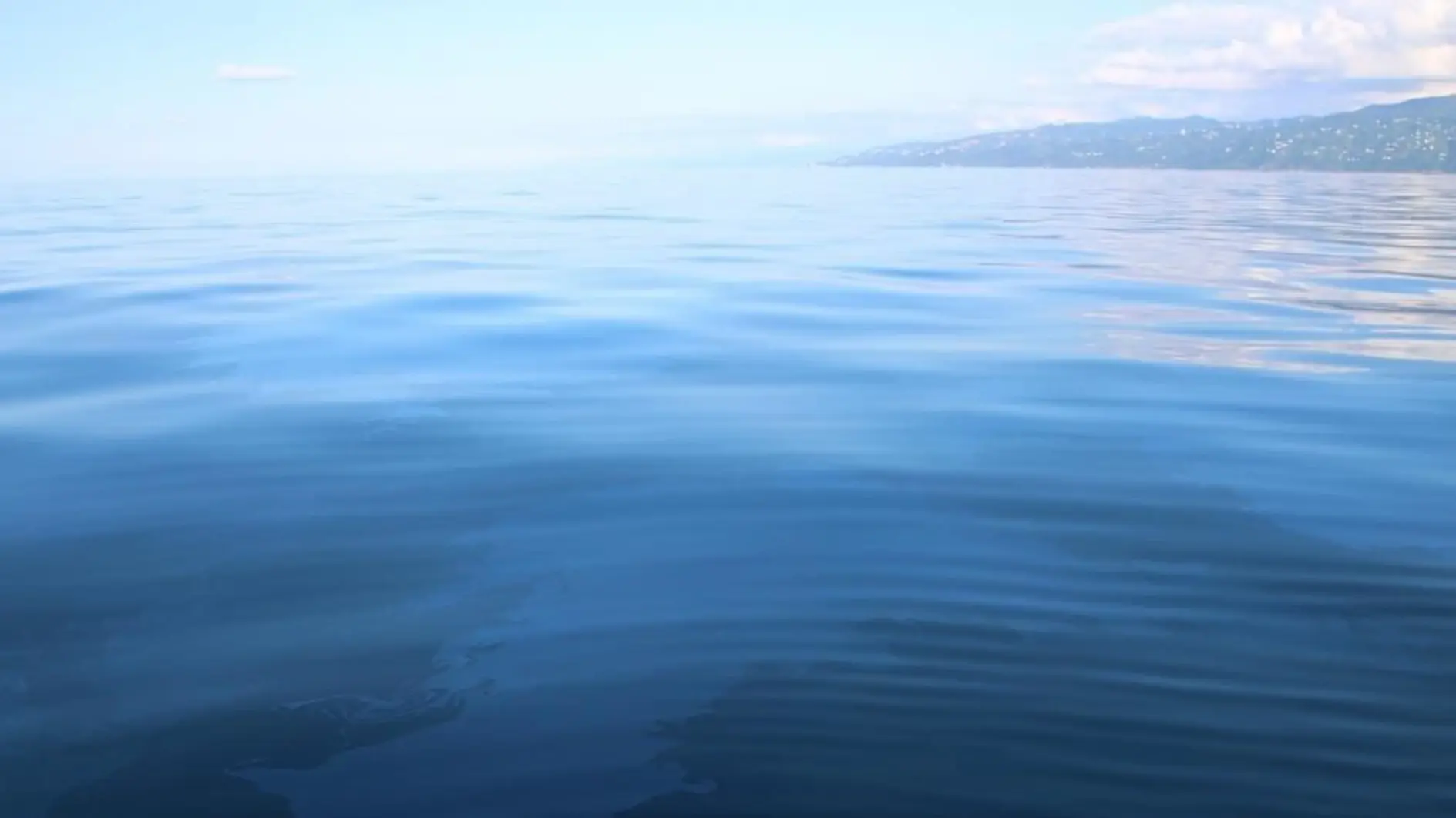 Rize'de her gün 1 ton petrol deniz yüzeyine akıyor.